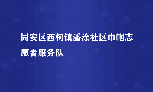 同安区西柯镇潘涂社区巾帼志愿者服务队