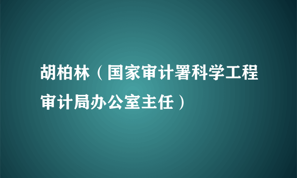 胡柏林（国家审计署科学工程审计局办公室主任）