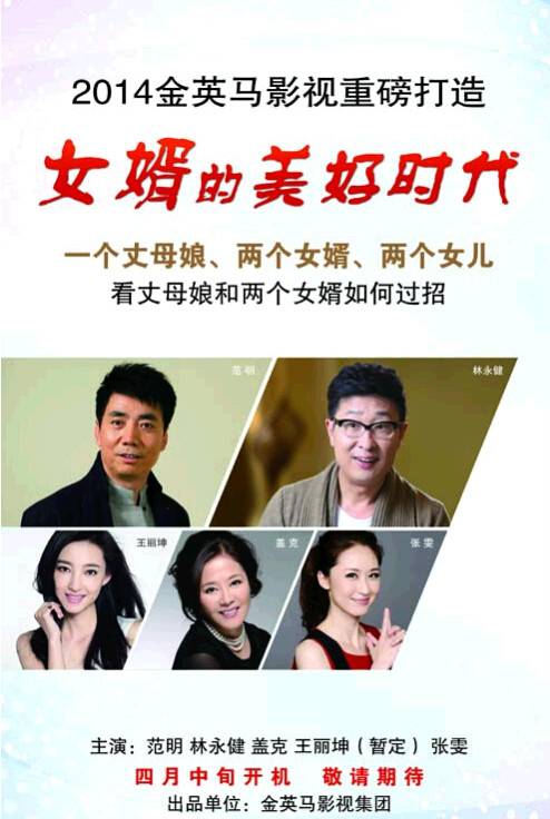 女婿的美好时代