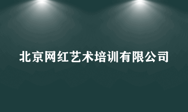 北京网红艺术培训有限公司