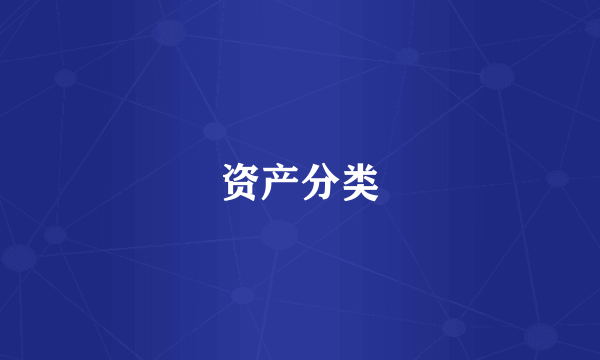 资产分类