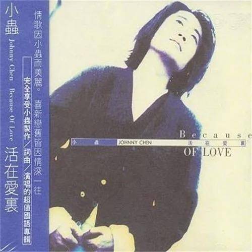 一往情深（小虫演唱歌曲）