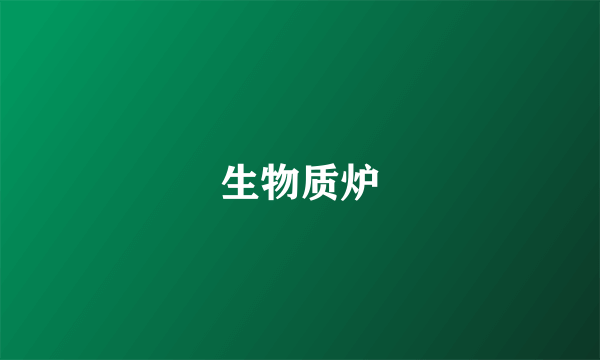 生物质炉