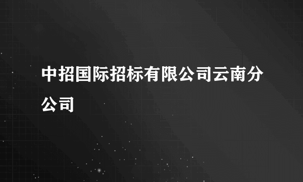 中招国际招标有限公司云南分公司