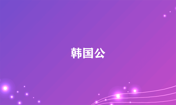 韩国公