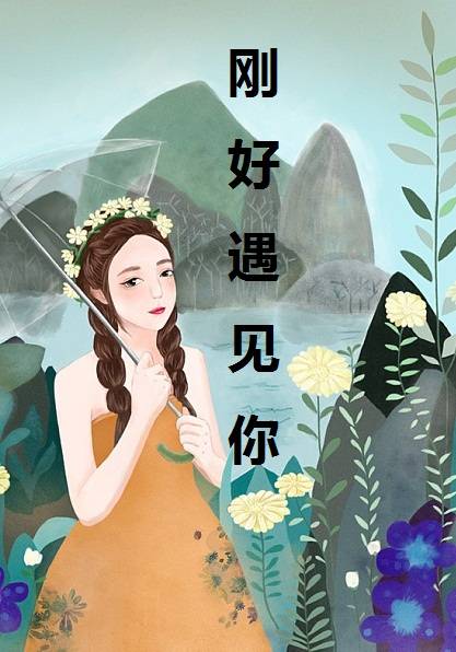 刚好遇见你（小说）