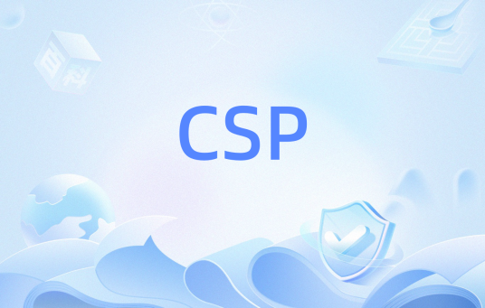CSP（加密服务提供程序）