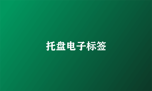 托盘电子标签