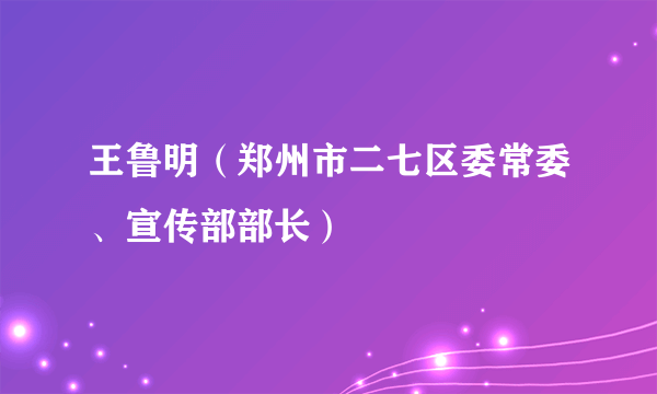 王鲁明（郑州市二七区委常委、宣传部部长）