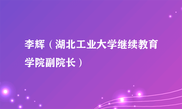 李辉（湖北工业大学继续教育学院副院长）