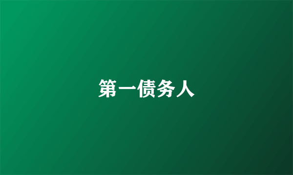 第一债务人