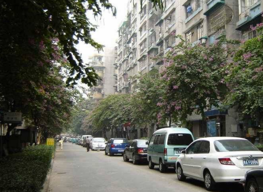 岗顶一小区