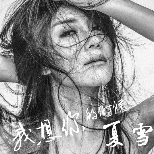 我想你的时候（2006年夏雪演唱歌曲）