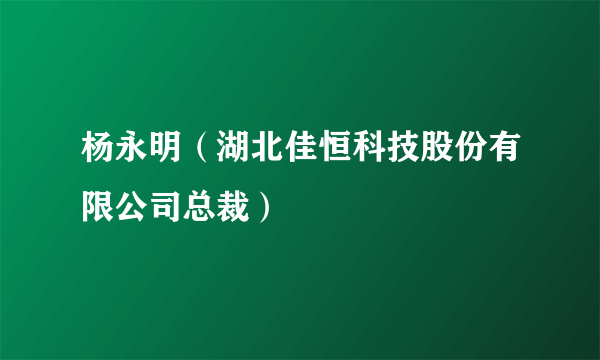 杨永明（湖北佳恒科技股份有限公司总裁）