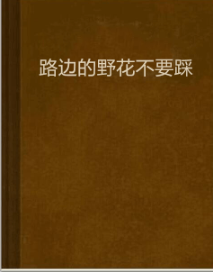 路边的野花不要踩
