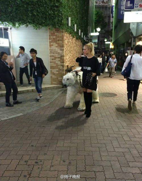 遛北极熊
