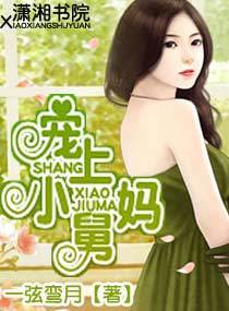 宠上小舅妈