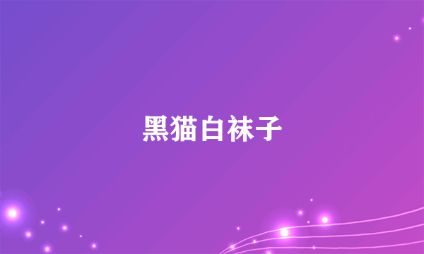 黑猫白袜子