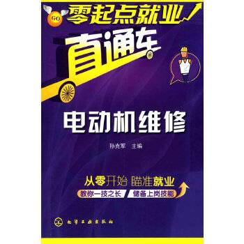 电动机维修（2010年化学工业出版社出版的图书）