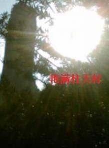 艳满柱天村