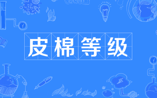 皮棉等级