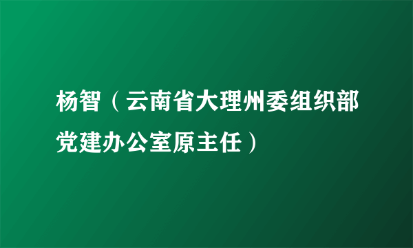 杨智（云南省大理州委组织部党建办公室原主任）