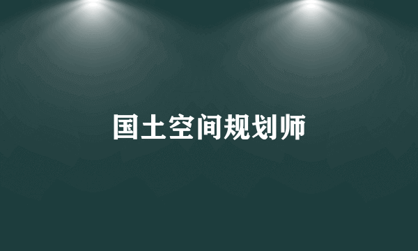 国土空间规划师