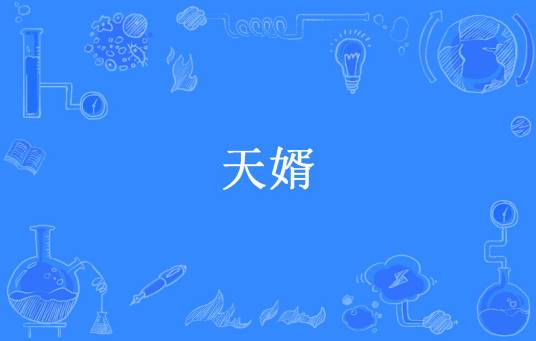 天婿（潘小贤所著小说）