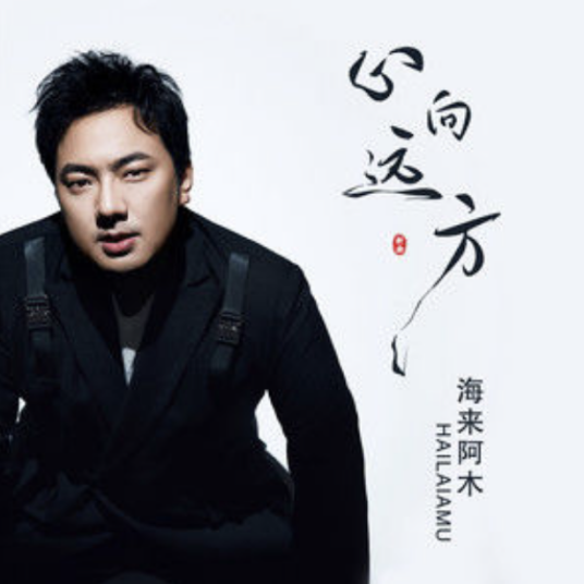 心向远方（海来阿木演唱的歌曲）