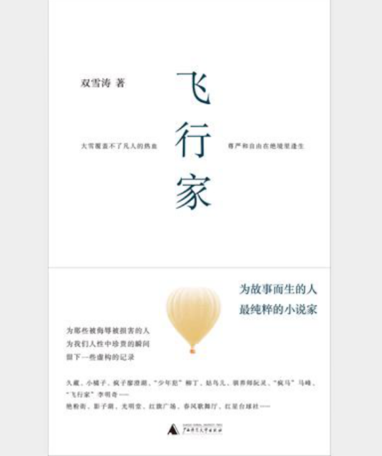 飞行家（2017年广西师范大学出版社出版的图书）