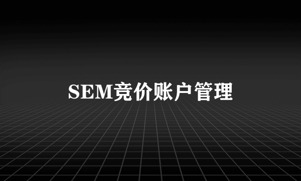 SEM竞价账户管理
