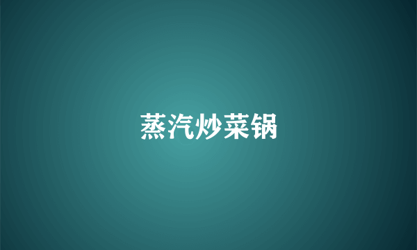 蒸汽炒菜锅