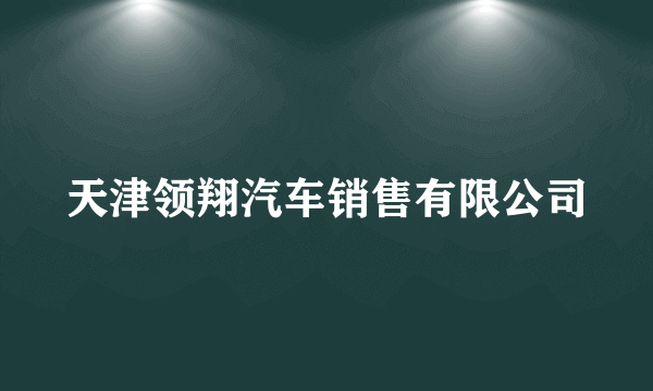 天津领翔汽车销售有限公司