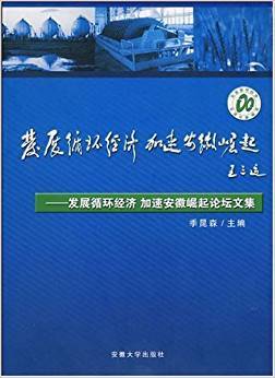 发展循环经济加速安徽崛起论坛文集