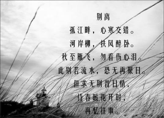 诗歌爱情