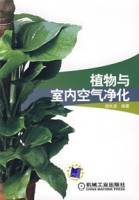 植物与室内空气净化