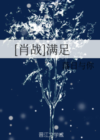 [肖战]满足
