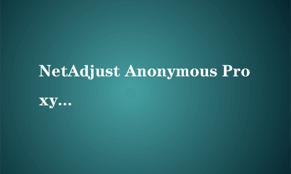 NetAdjust Anonymous Proxy V5.4