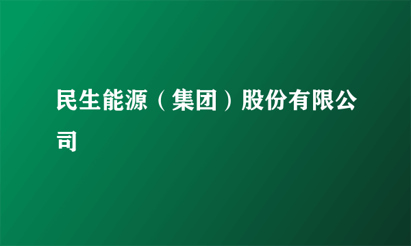 民生能源（集团）股份有限公司