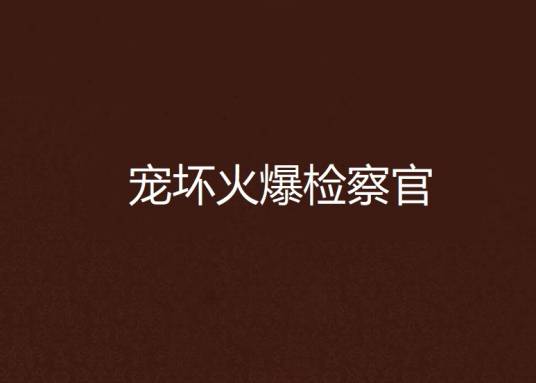 宠坏火爆检察官