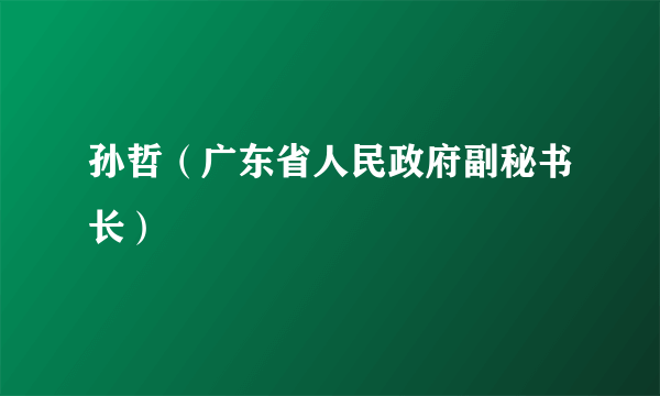 孙哲（广东省人民政府副秘书长）