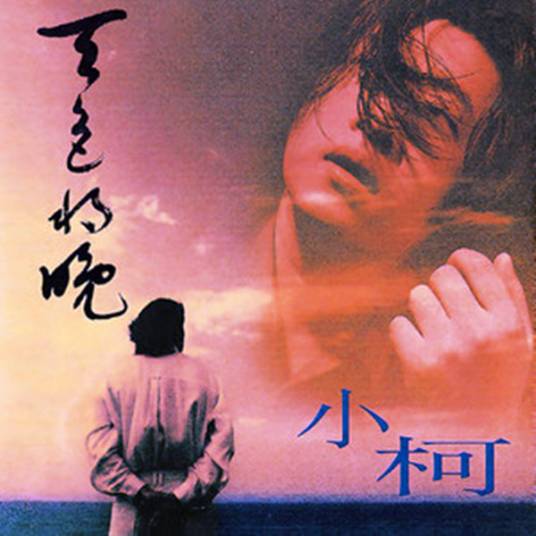 我该怎么办（小柯演唱的同名歌曲）