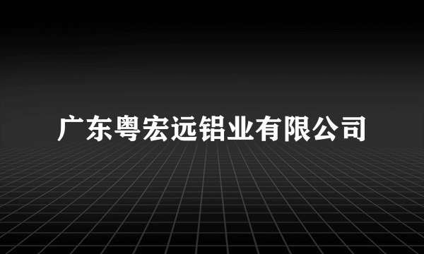 广东粤宏远铝业有限公司