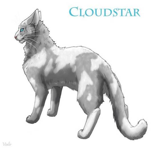 云星（《猫武士》人物）