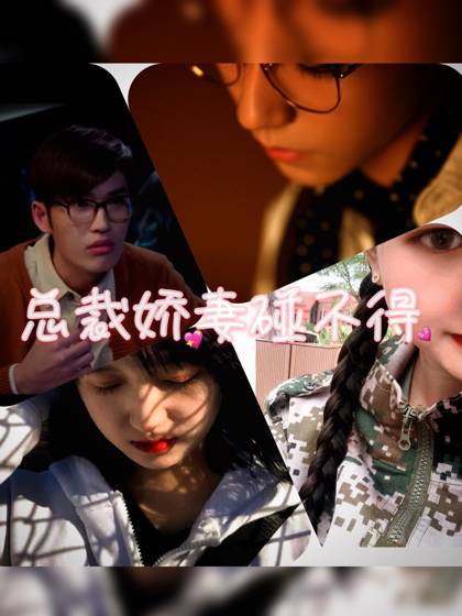 总裁的娇妻碰不得