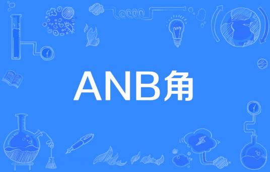 ANB角