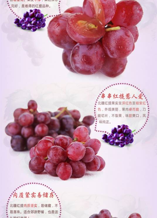 北疆红提
