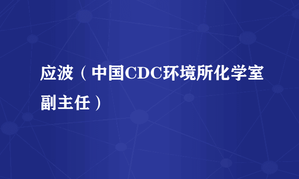 应波（中国CDC环境所化学室副主任）