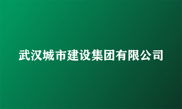 武汉城市建设集团有限公司