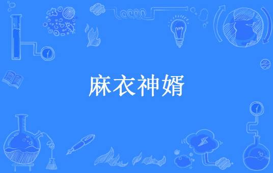 麻衣神婿（拎壶冲所著小说）